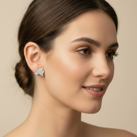 Texas Brushed Silver Stud Earrings - Model